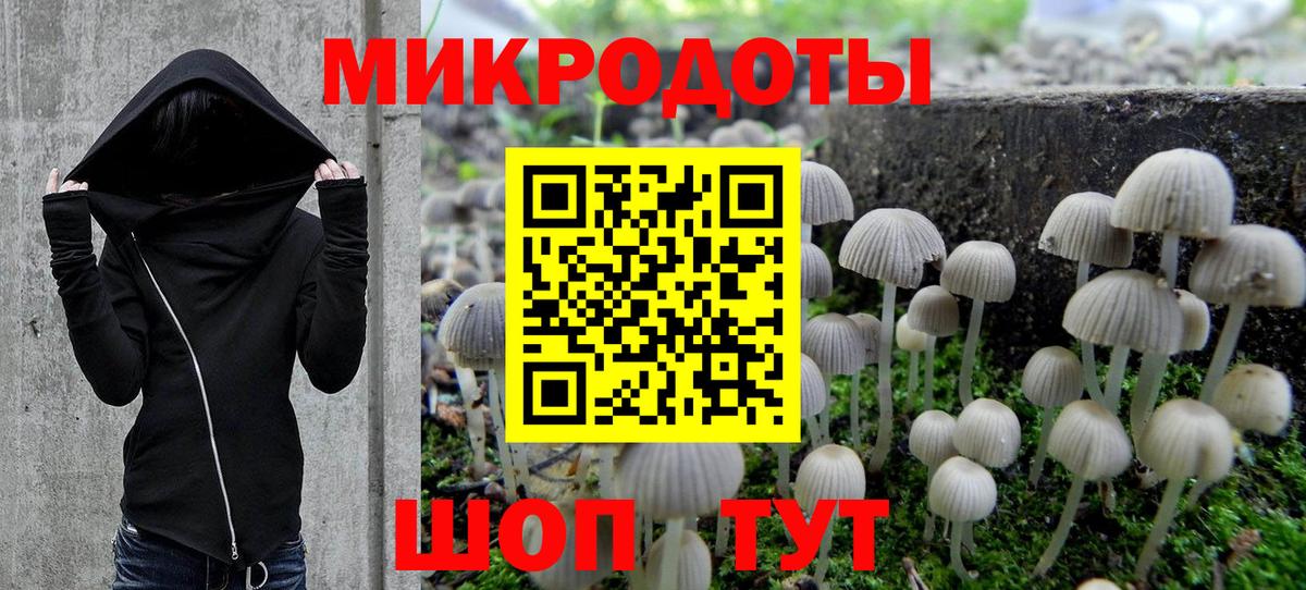 Галлюциногенные грибы MAGIC MUSHROOMS  Галлюциногенные грибы Psilocybe  Вход с VPN  Гудермес 