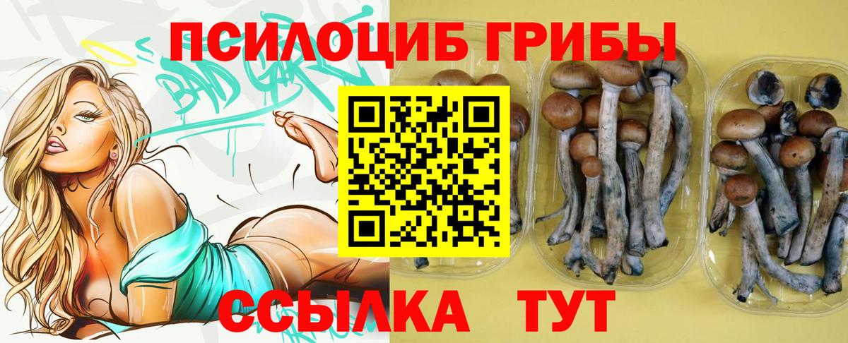 Галлюциногенные грибы Cubensis Гудермес